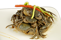 宁波太平洋大酒店